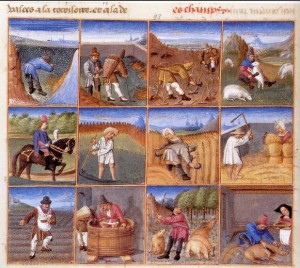 calendrier des travaux au moyen age -rustican -1306